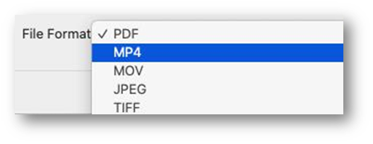 Mp4 selected in the File Format field.