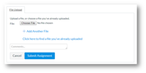 File upload tab contains choose file button, add another file option, option to click here to find a file you've already uploaded, comments field, cancel button, and submit assignment button.