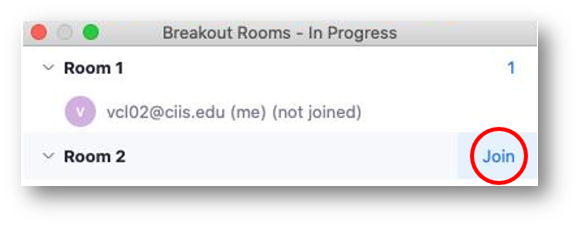The join button in the participant view of breakout rooms