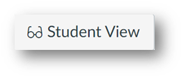 The student view button
